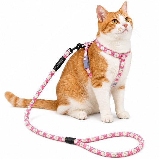 cat-harness-leash-set-durable-cable-walking-lead-combo-luxury-view-2 | Majestic Pet Kingdom