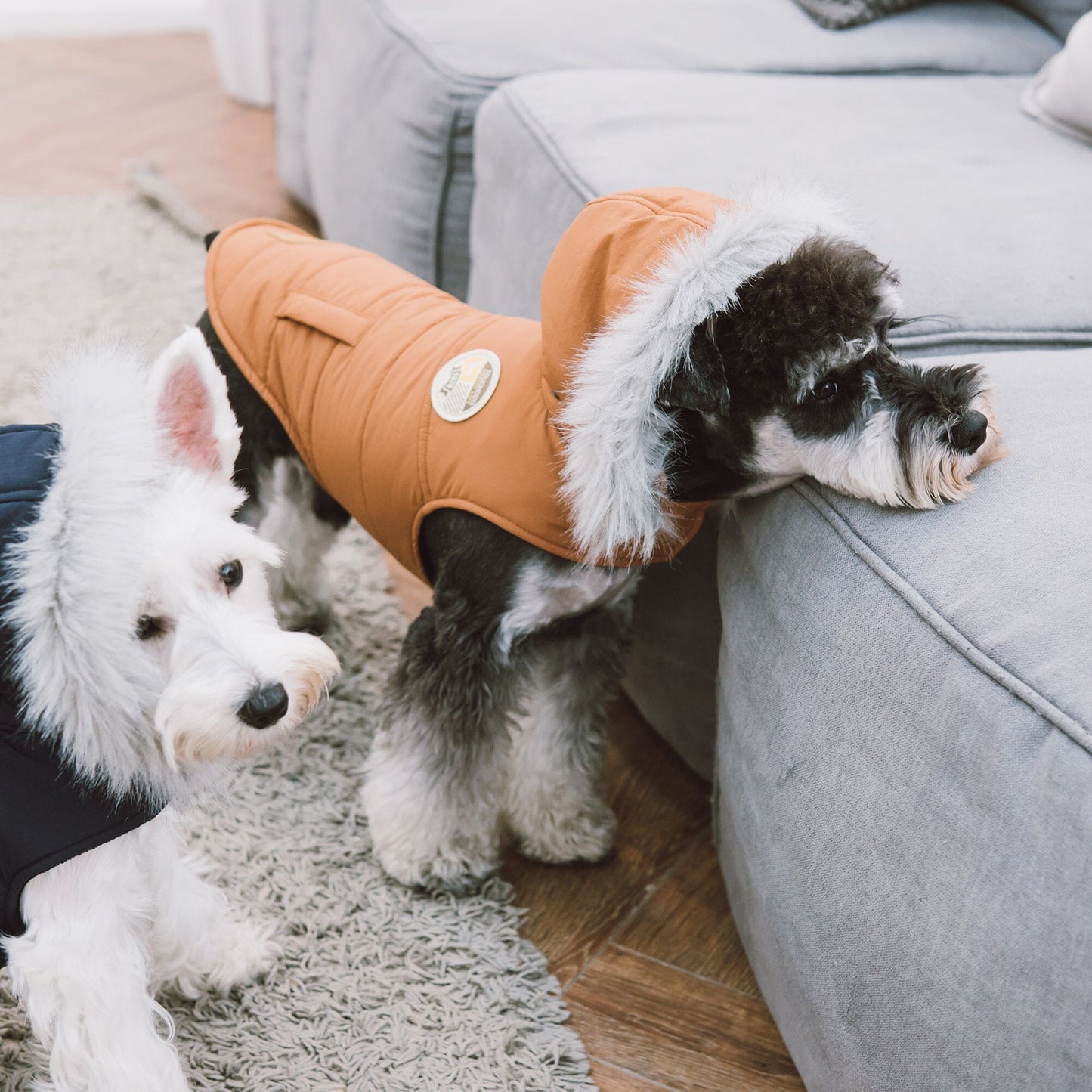 Touchdog 'Eskimo-Swag' Duck-Down Insulated Winter Dog Coat Parka