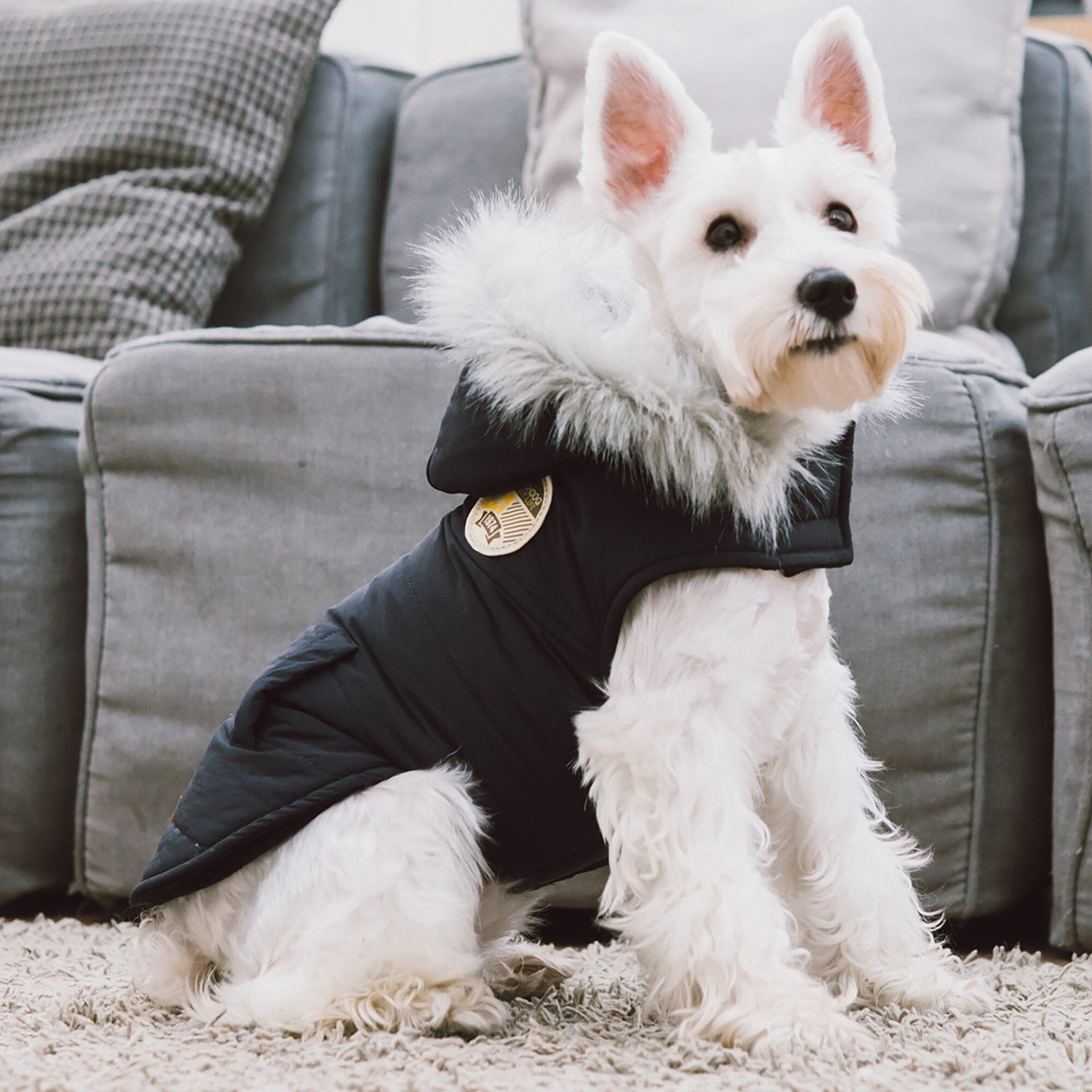 Touchdog 'Eskimo-Swag' Duck-Down Insulated Winter Dog Coat Parka