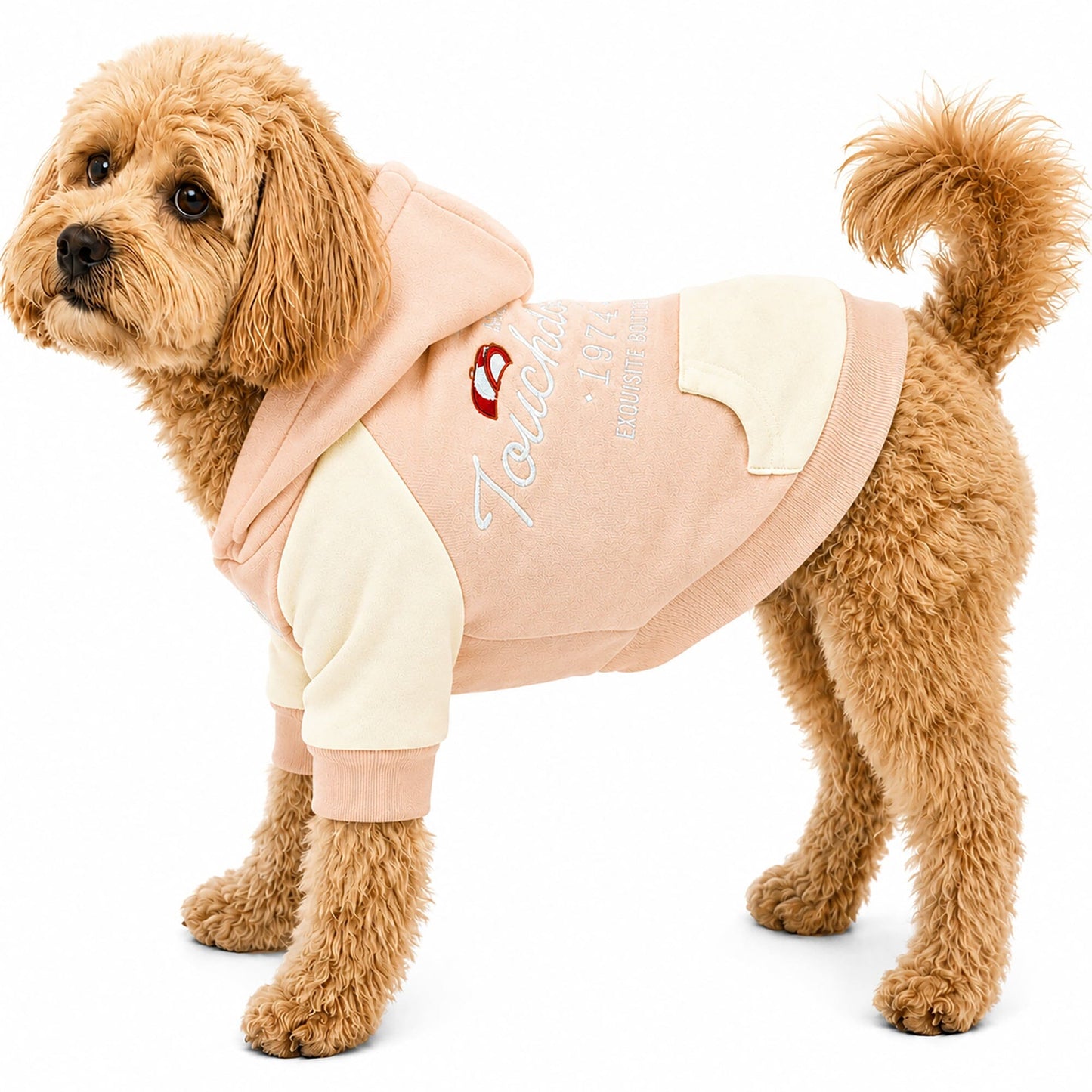 Touchdog 'Heritage' Soft-Cotton Fashion Dog Hoodie Sweater