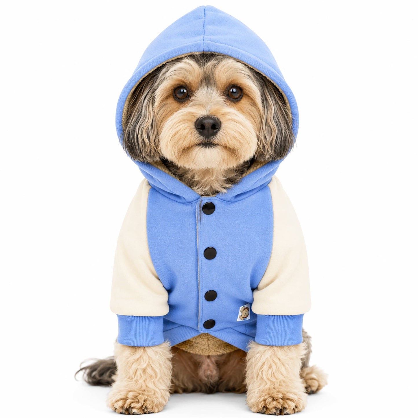 Touchdog 'Heritage' Soft-Cotton Fashion Dog Hoodie Sweater