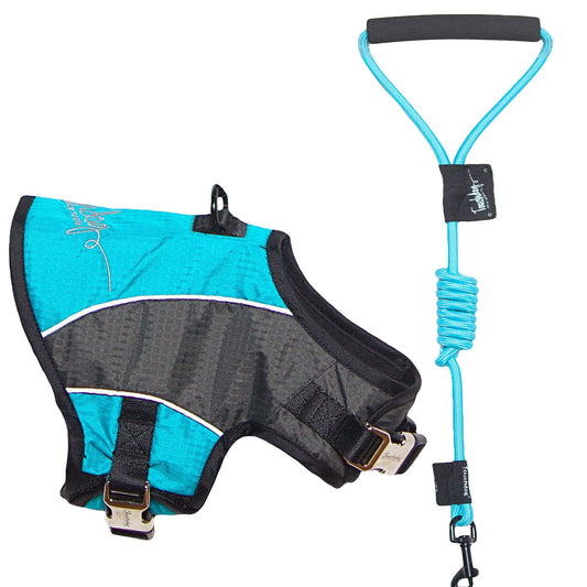 dog-harness-leash-set-2-in-1-reflective-walking-vest-luxury-view-1 | Majestic Pet Kingdom