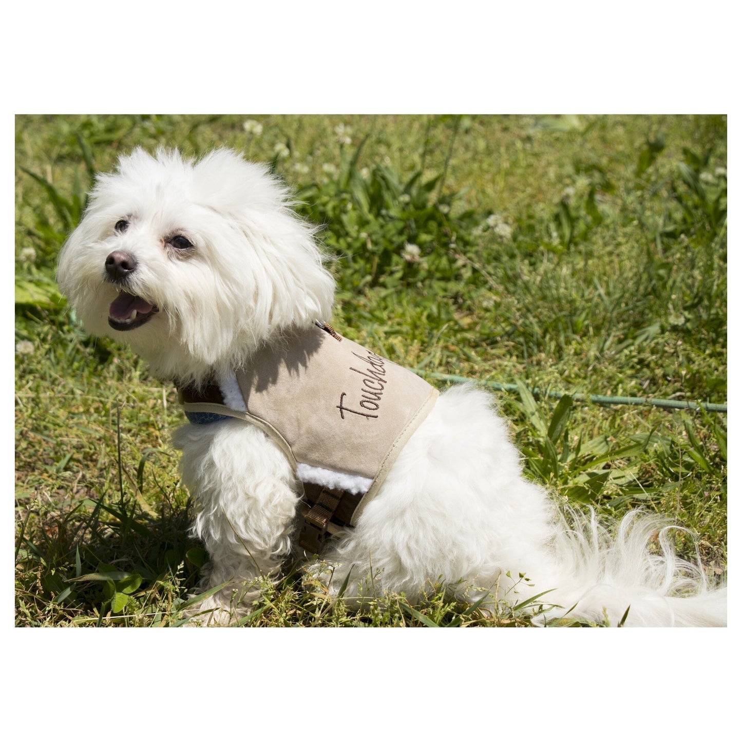 Touchdog ® 'Tough-Boutique' 2-in-1 Adjustable Fashion Dog Harness and Leash