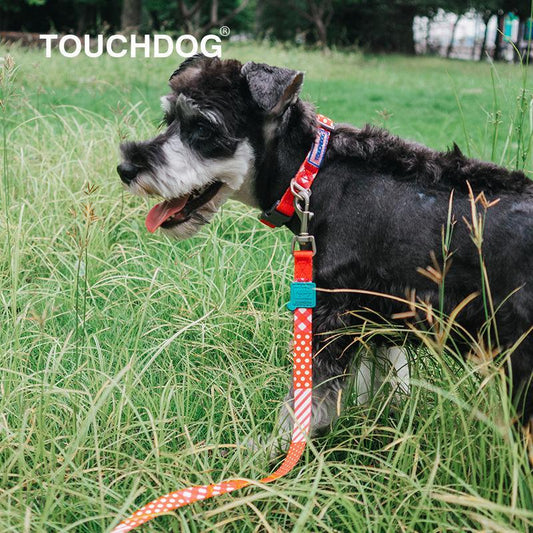 dog-collar-leash-set-trendzy-printed-walking-lead-combo-luxury-view-2 | Majestic Pet Kingdom