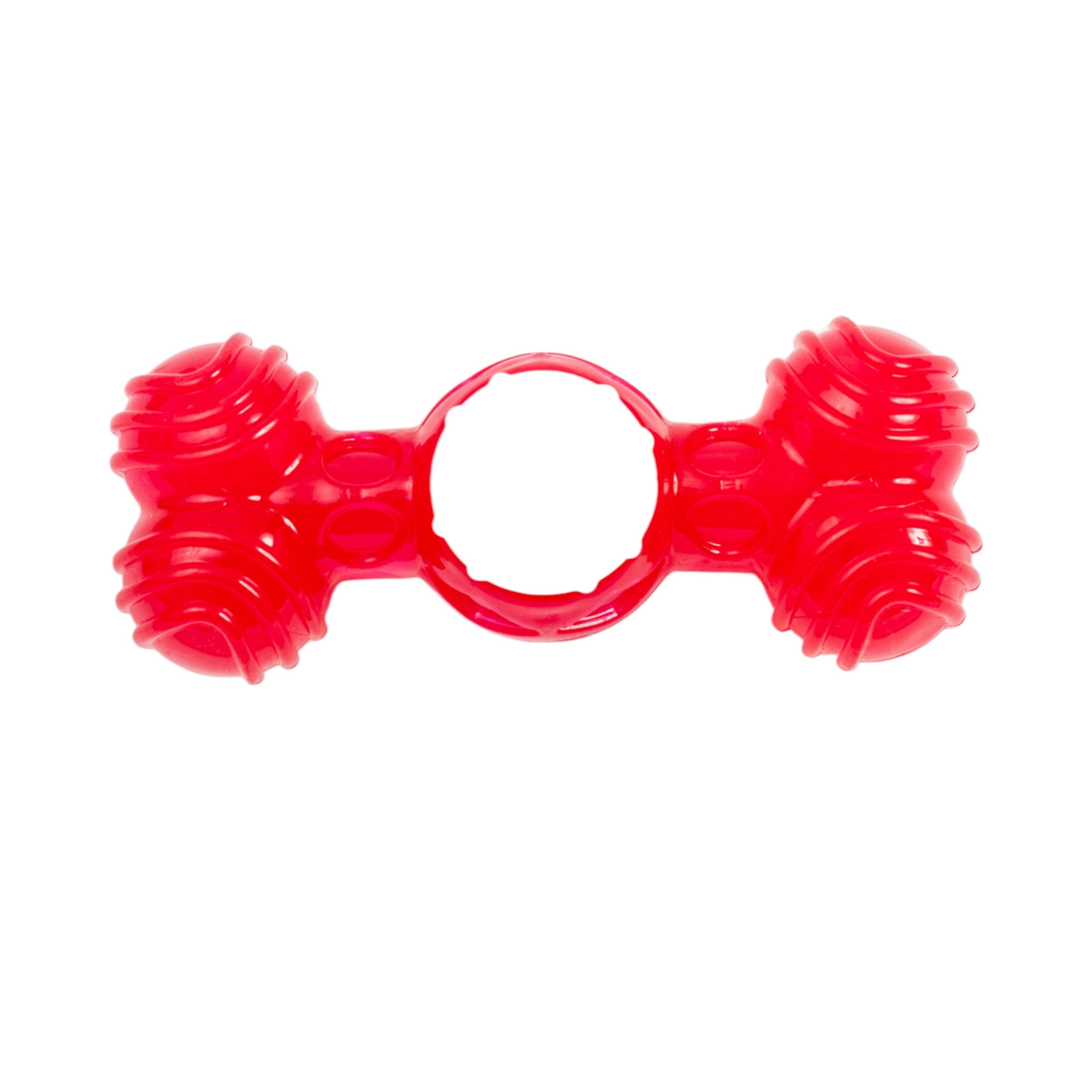TPR & Nylon Quacker Bone Dog Chew Toy with Sound