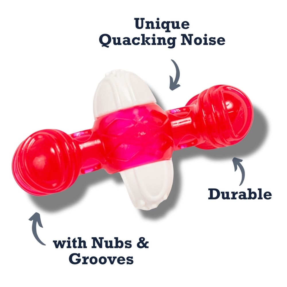 TPR & Nylon Quacker Bone Dog Chew Toy with Sound