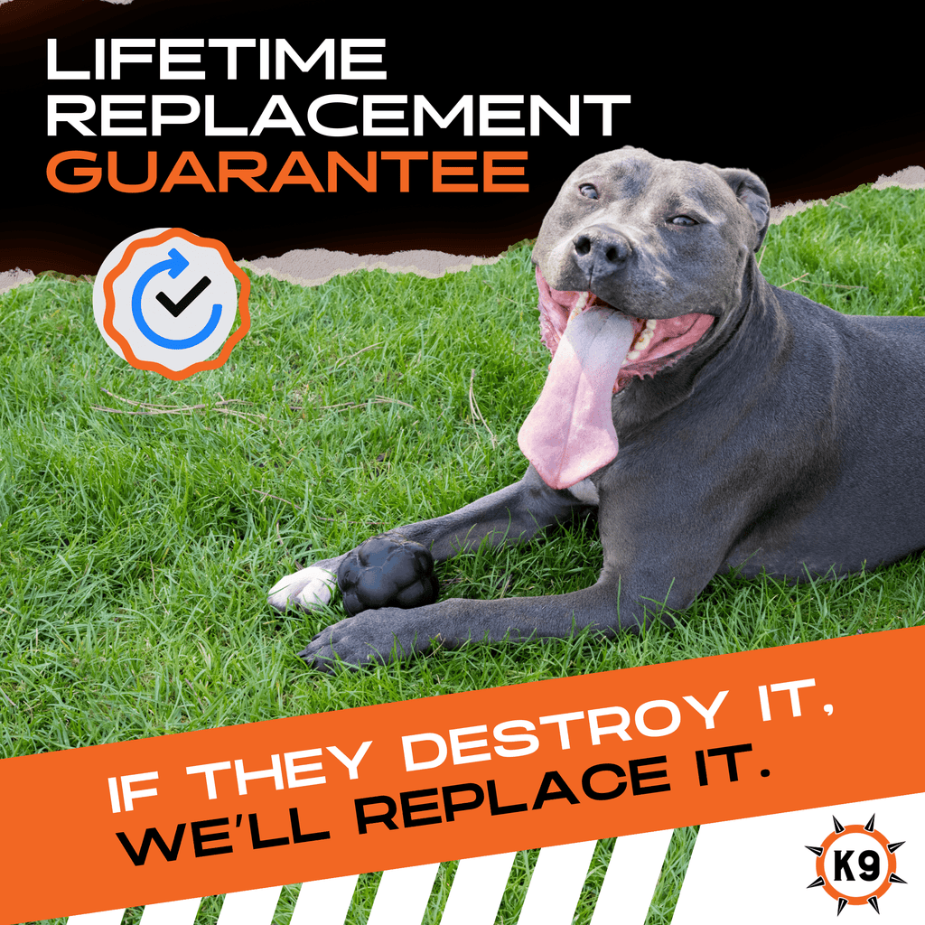 Luxury Pet Essentials - Purrfect Pet Kingdom™
