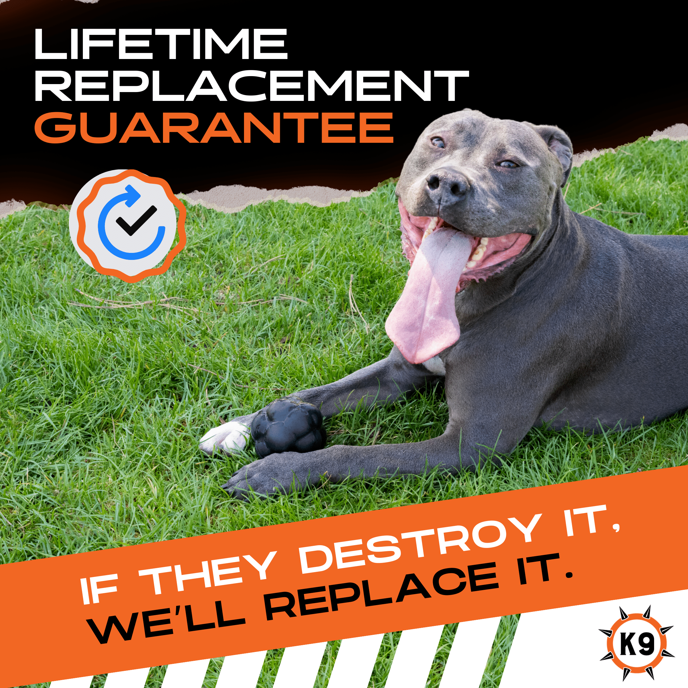 Luxury Pet Essentials - Purrfect Pet Kingdom™