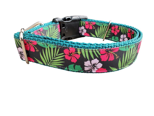 Dog Collar Tropical Flowers Hawaiian Hibiscus Botanical Nylon