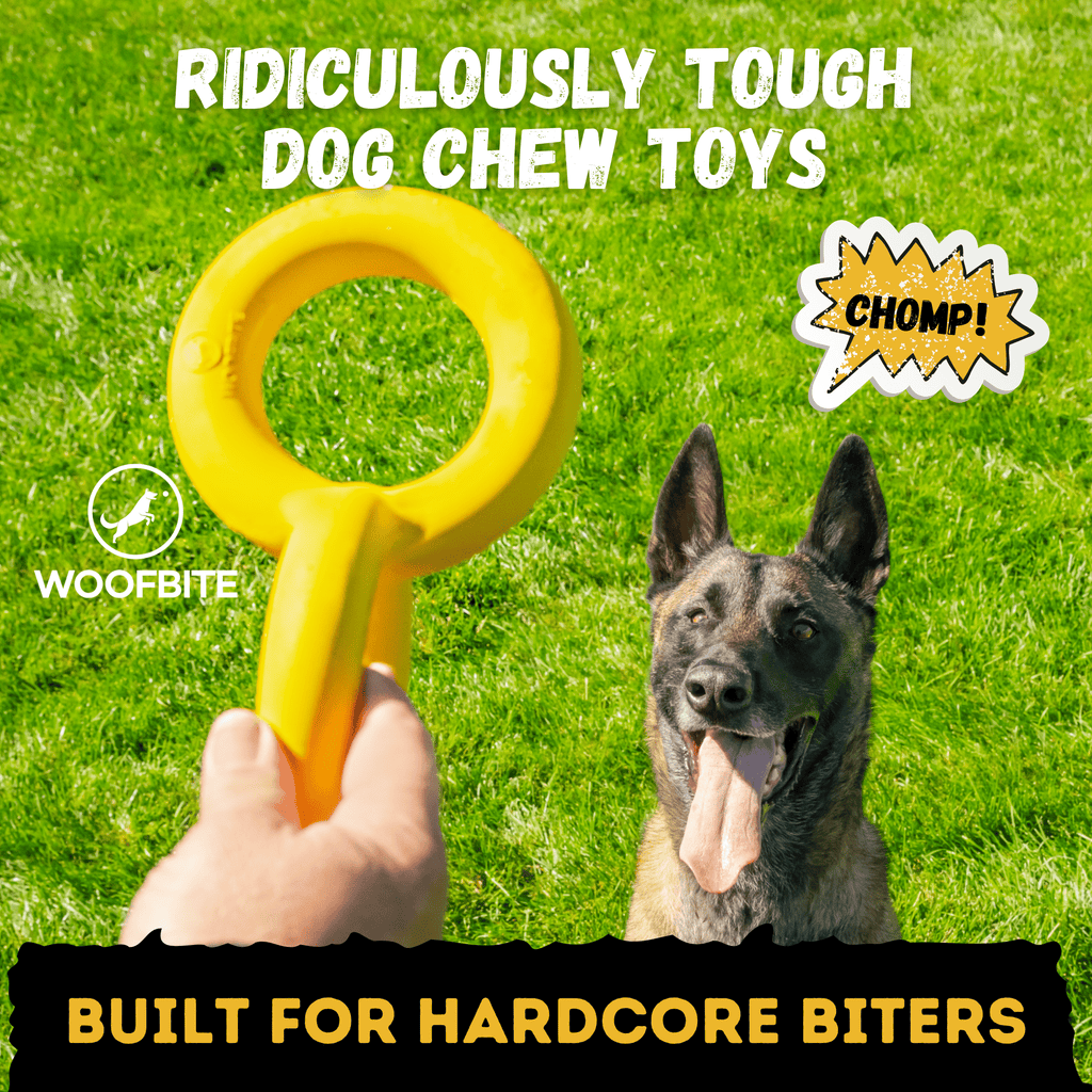 Luxury Pet Essentials - Purrfect Pet Kingdom™