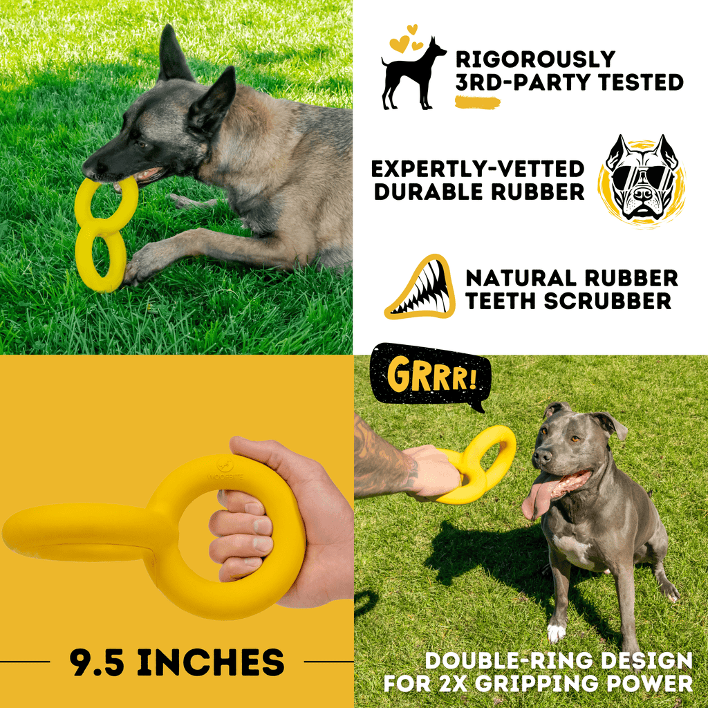 Luxury Pet Essentials - Purrfect Pet Kingdom™