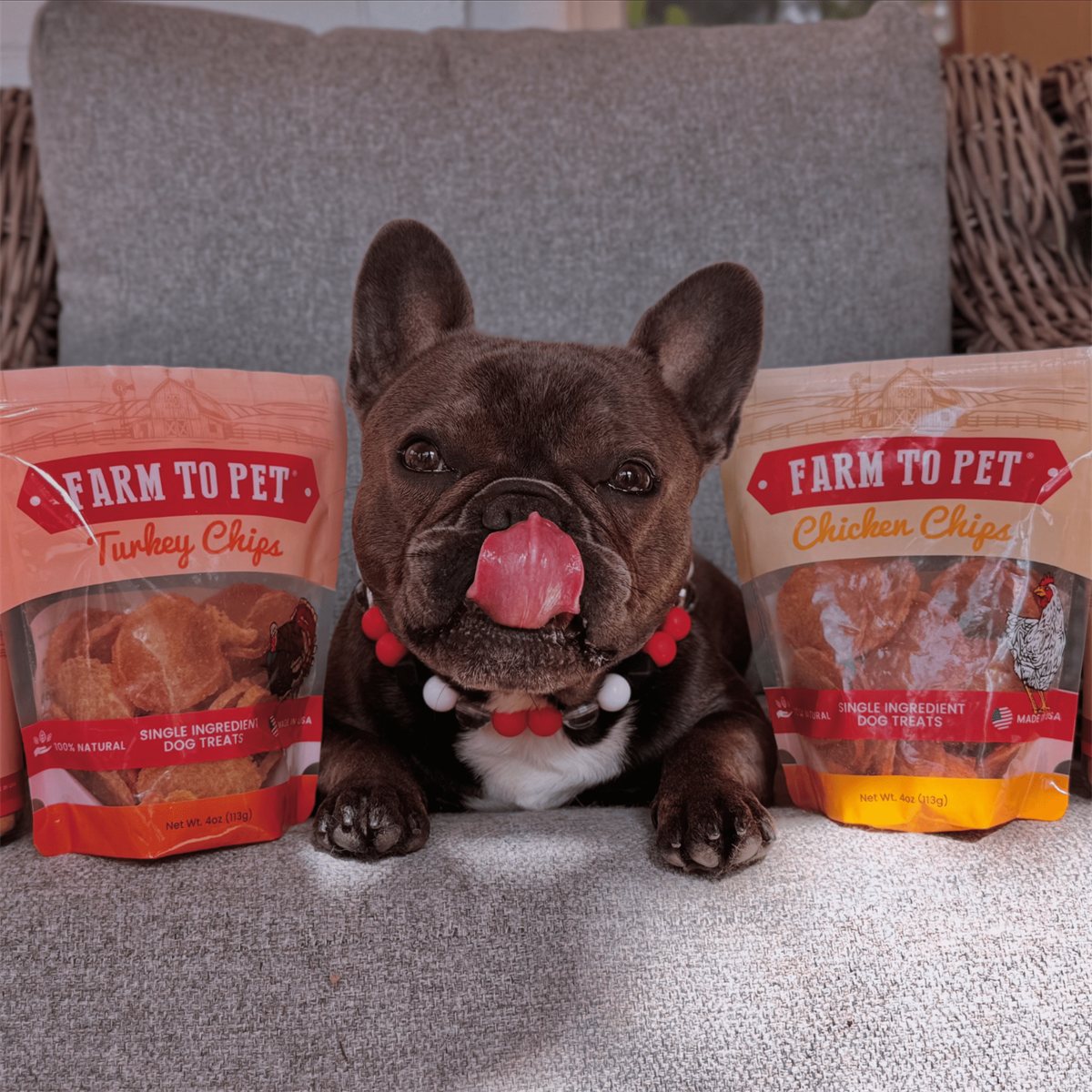 Dog Treats Turkey and Chicken Chip Duo Single-Ingredient 2pk - Detail Angle 6 | Majestic Pet Kingdom