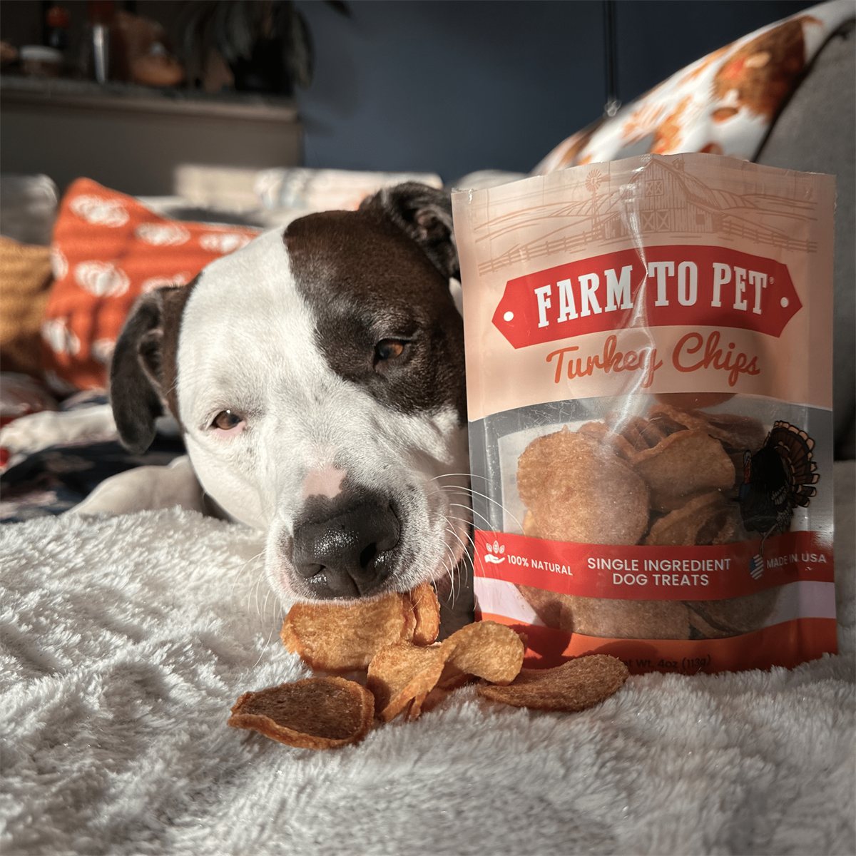 Dog Treats Turkey Chips All-Natural Single-Ingredient Snack