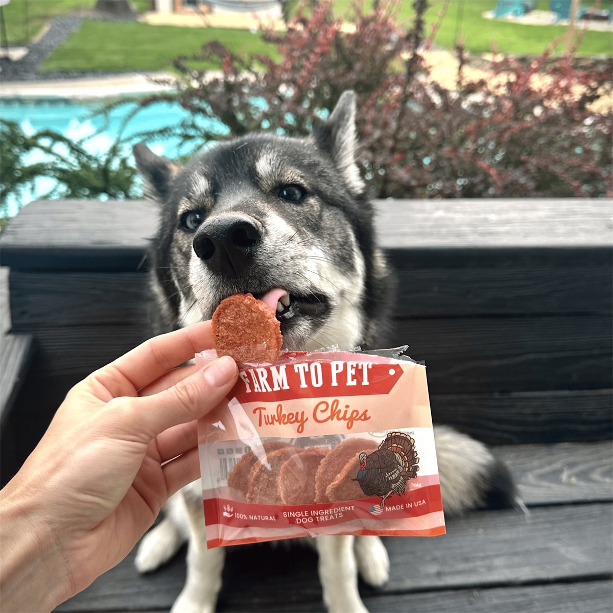 Dog Treats Turkey Chips Snack Pack Bundles Training Treats