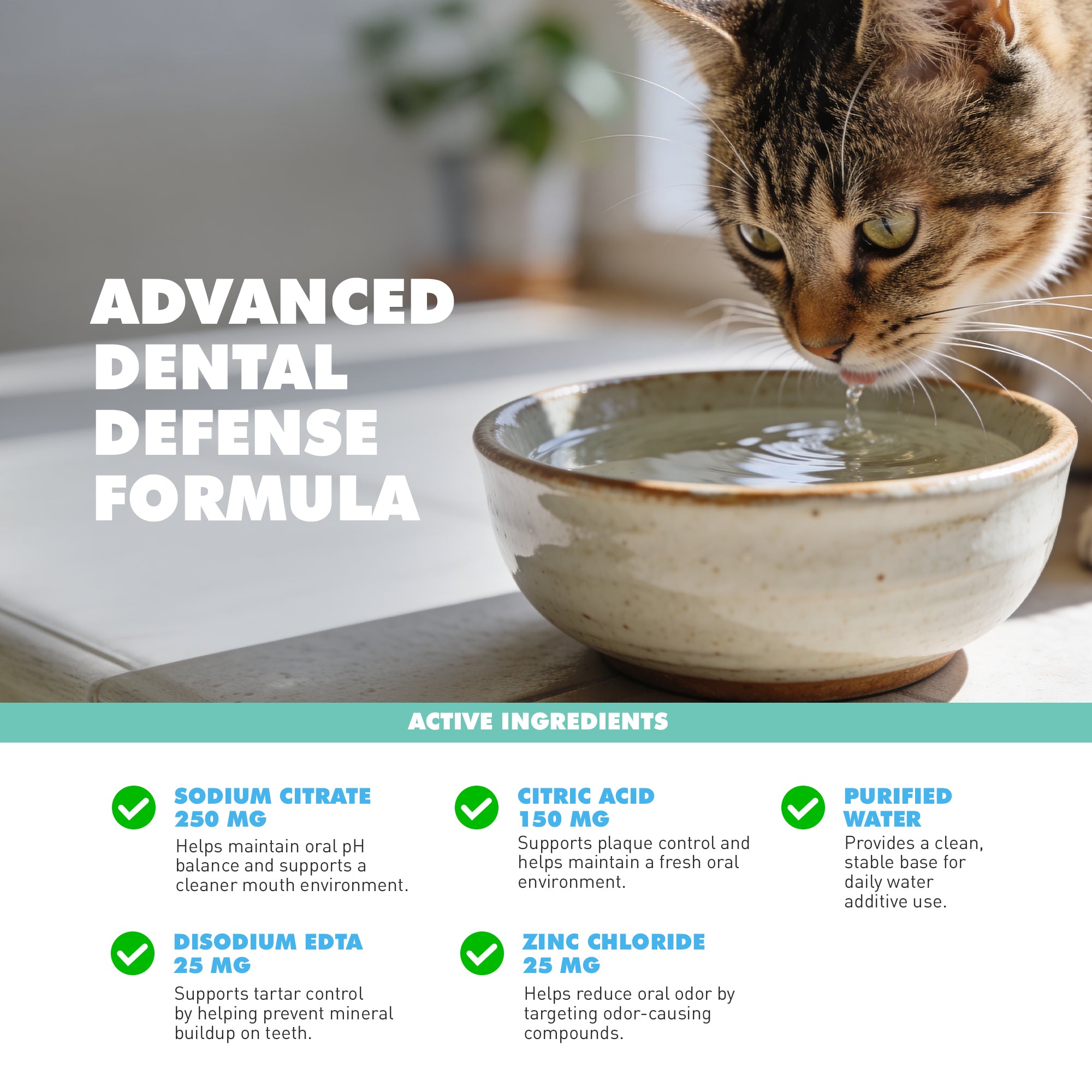 UBAVET Odorless Oral Dental Care Water Additive (16 oz)