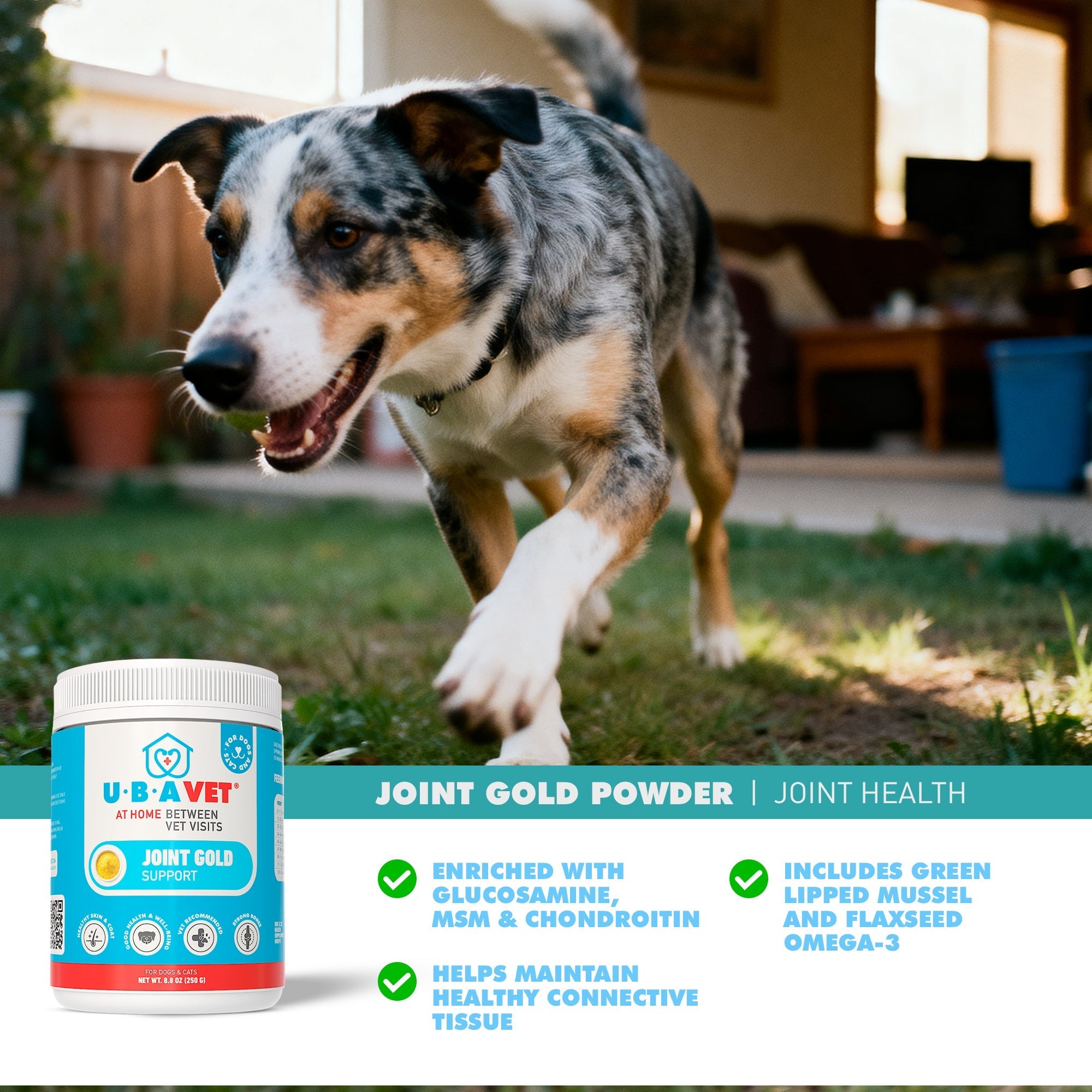UBAVET Joint Support Gold Powder for Dogs & Cats (8.8 oz)