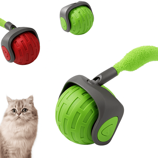 electric-cat-toy-ball-usb-rechargeable-self-rolling-teaser-luxury-view-1 | Majestic Pet Kingdom