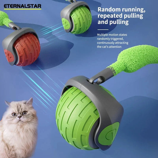 electric-cat-toy-ball-usb-rechargeable-self-rolling-teaser-luxury-view-2 | Majestic Pet Kingdom