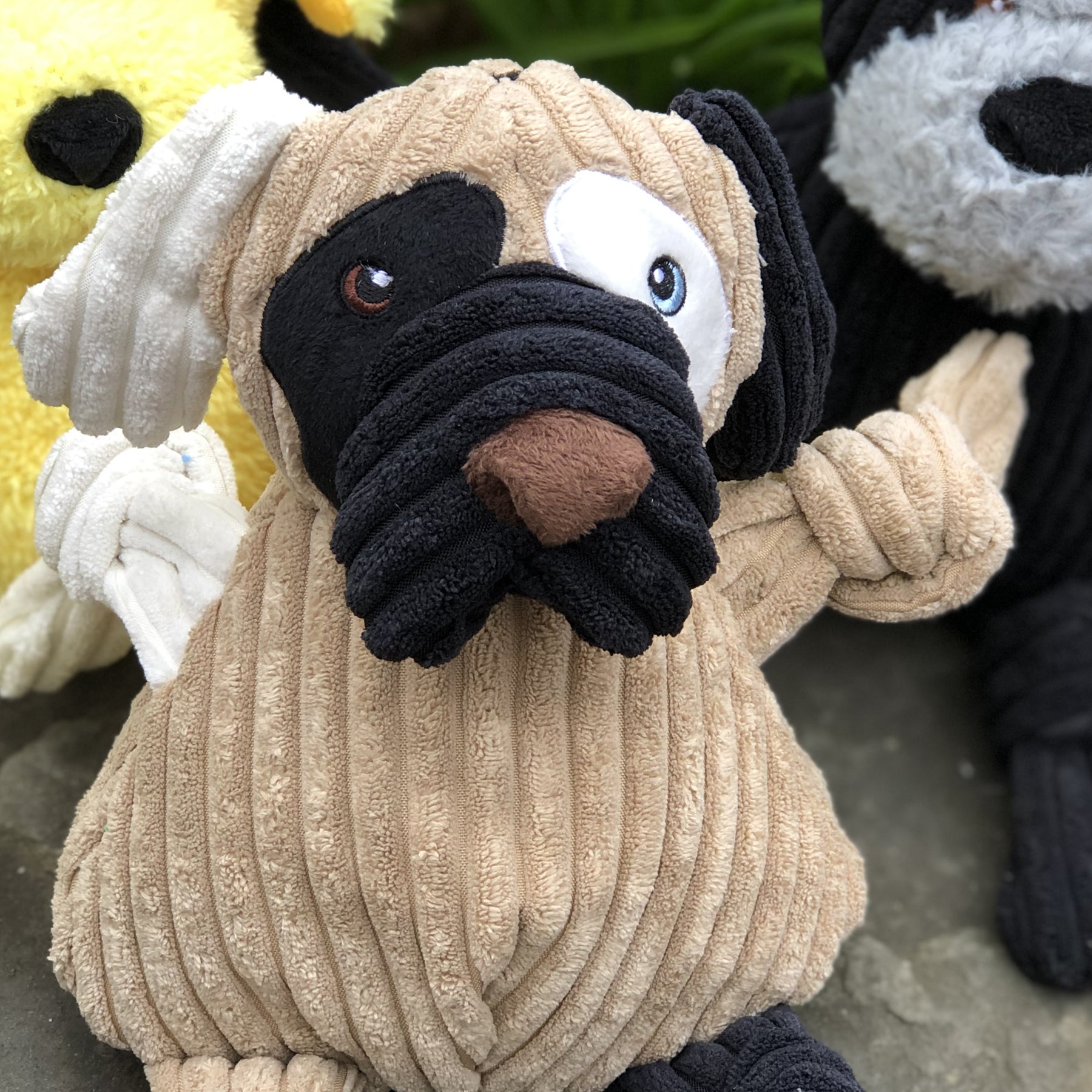 Pet Supply Product | The Finest Market