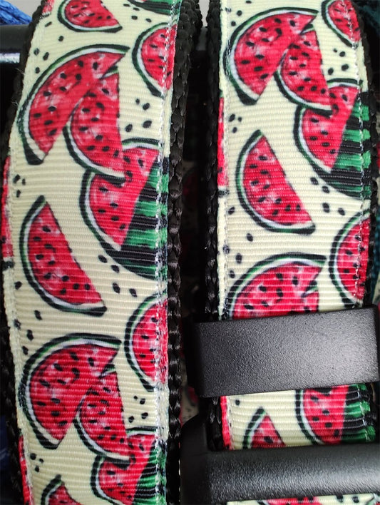 Dog Collar Watermelon Slices Black Summer Fruit Pattern Nylon Band