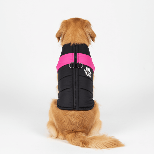 Wilderness Shield Vest - Majestic Pet Kingdom