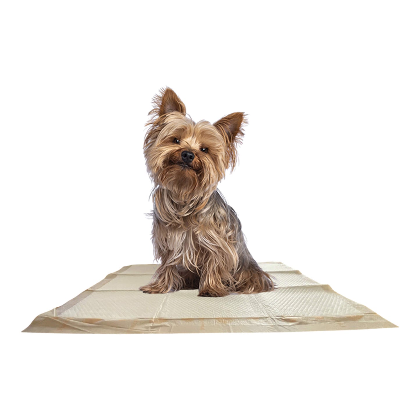 Luxury Pet Essentials - Purrfect Pet Kingdom™