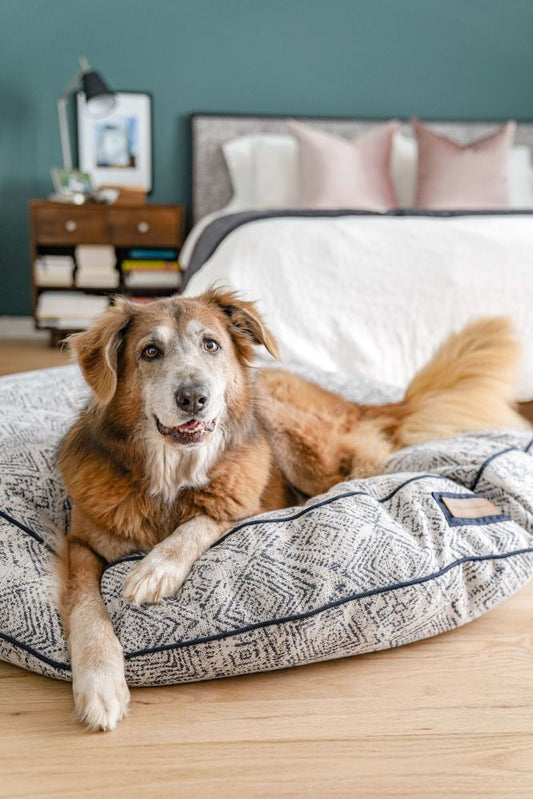 Round Pet Bed in Sapphire Spaniel | Purrfect Pet Kingdom