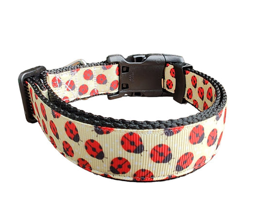 Dog Collar Yellow Ladybugs Black Background Insect Print Nylon Band